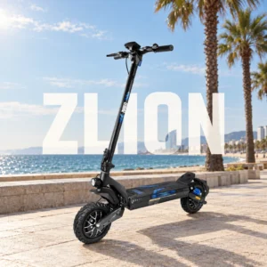 ZLion Duo